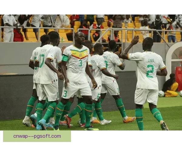 2024非洲杯决赛塞内加尔憾负科特迪瓦未能夺冠